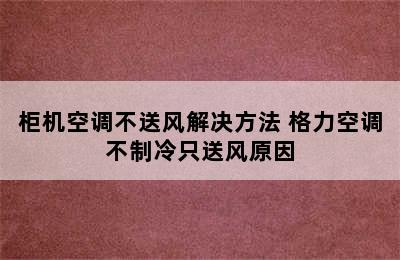 柜机空调不送风解决方法 格力空调不制冷只送风原因